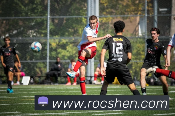 奖项证书